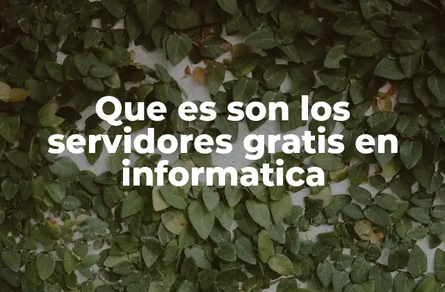 Que es Son los Servidores Gratis en Informatica