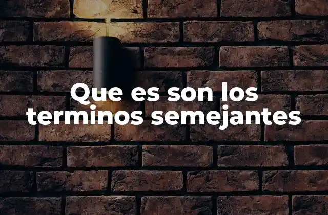 Que es Son los Terminos Semejantes