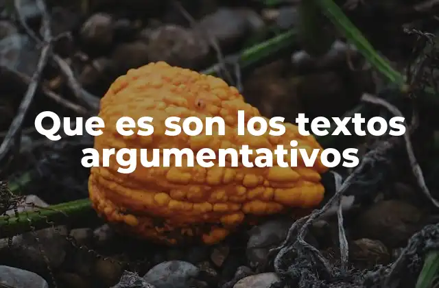 Que es Son los Textos Argumentativos