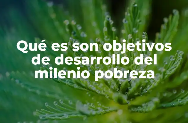 Cómo los Objetivos de Desarrollo del Milenio transformaron la agenda internacional