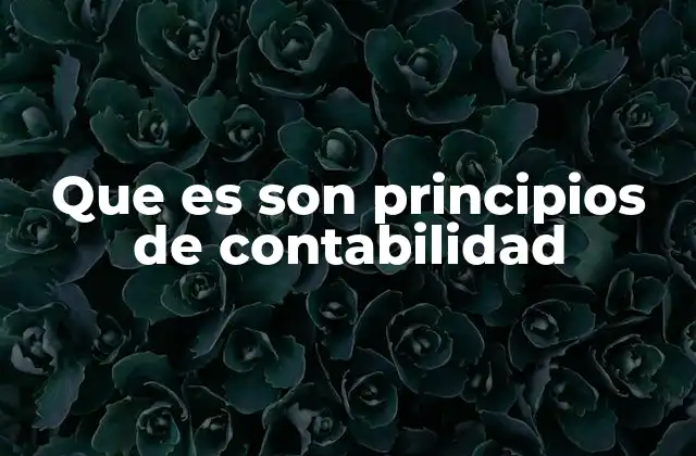 Que es Son Principios de Contabilidad
