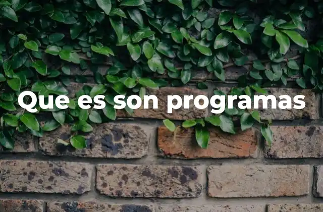 Que es Son Programas