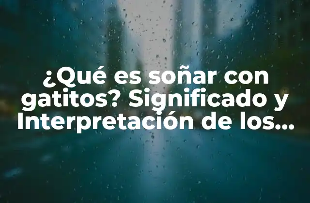 ¿qué es Soñar con Gatitos? Significado y Interpretación de los Sueños con Gatos Bebé