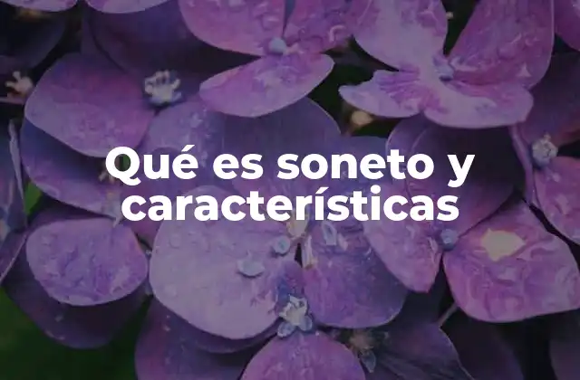 Qué es Soneto y Características