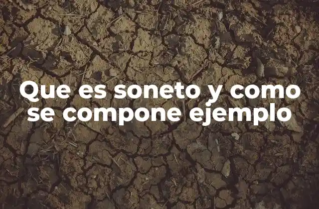 Origen y evolución de la forma soneto en la literatura