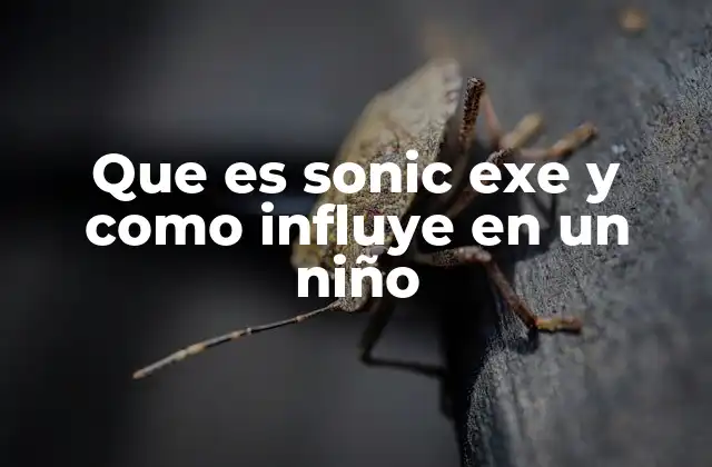 Que es Sonic Exe y como Influye en un Niño