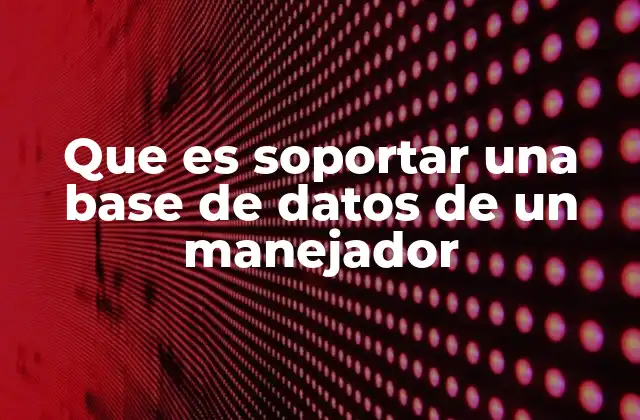 Que es Soportar una Base de Datos de un Manejador