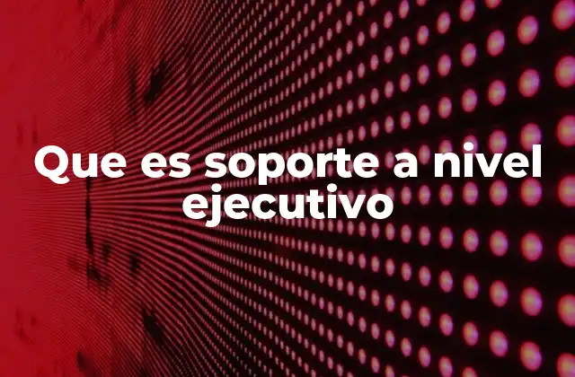 Que es Soporte a Nivel Ejecutivo