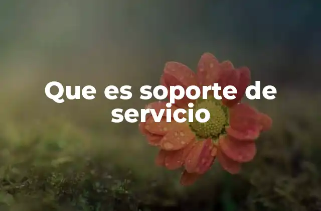 El rol del soporte de servicio en la experiencia del cliente