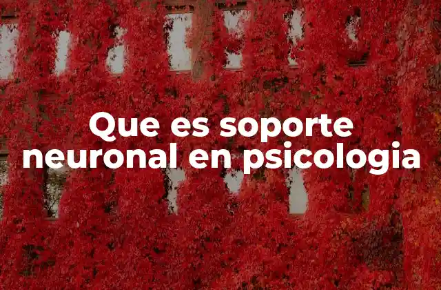 Que es Soporte Neuronal en Psicologia