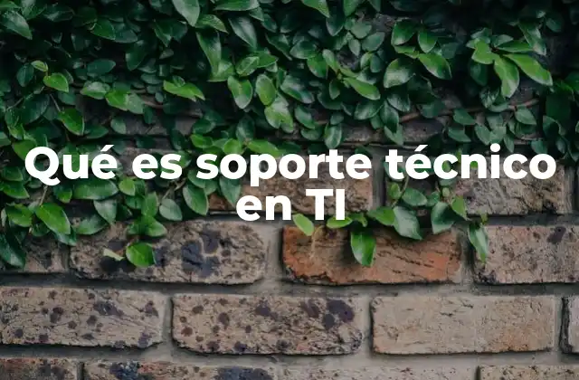 Qué es Soporte Técnico en Ti