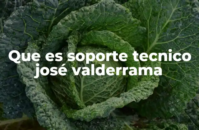 Que es Soporte Tecnico José Valderrama