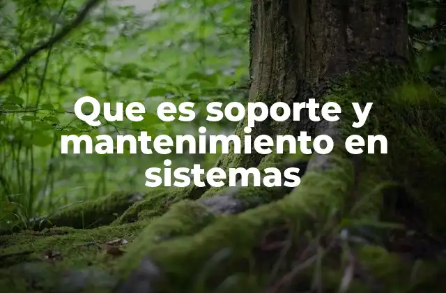 Que es Soporte y Mantenimiento en Sistemas