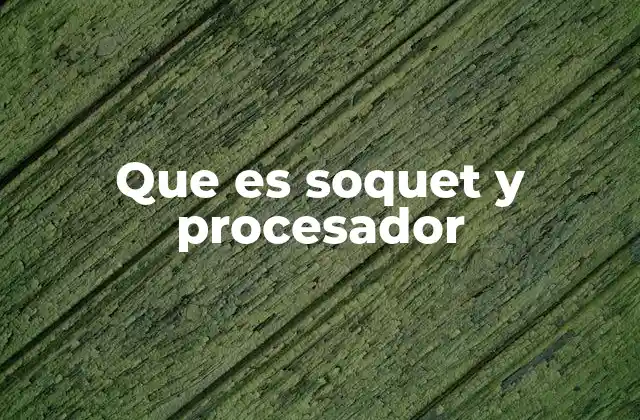 Que es Soquet y Procesador