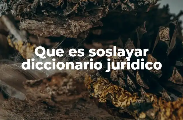 Que es Soslayar Diccionario Juridico