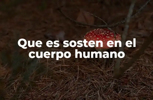 Que es Sosten en el Cuerpo Humano