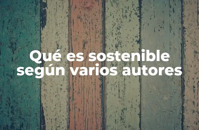 Qué es Sostenible según Varios Autores