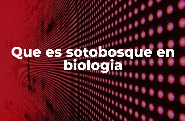 Que es Sotobosque en Biologia