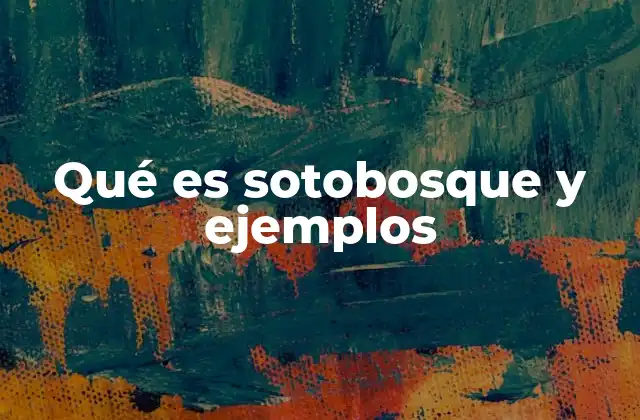 Qué es Sotobosque y Ejemplos 2 La importancia ecológica del sotobosque