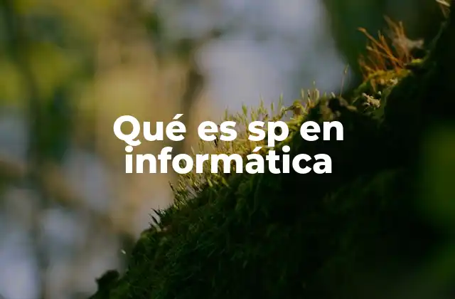 Qué es Sp en Informática