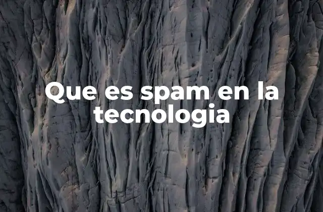 Que es Spam en la Tecnologia