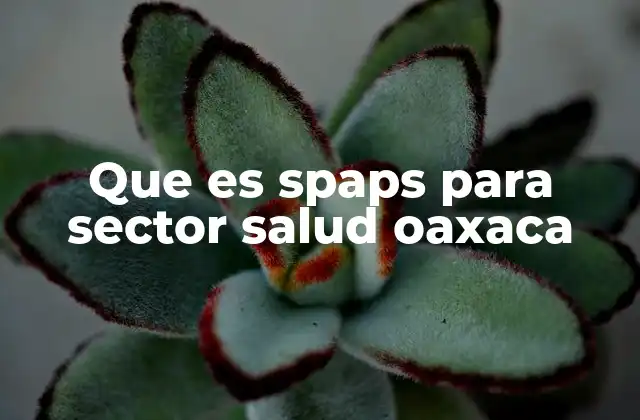 El SPAPS y su relevancia en la atención rural de Oaxaca