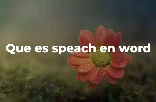 Que es Speach en Word