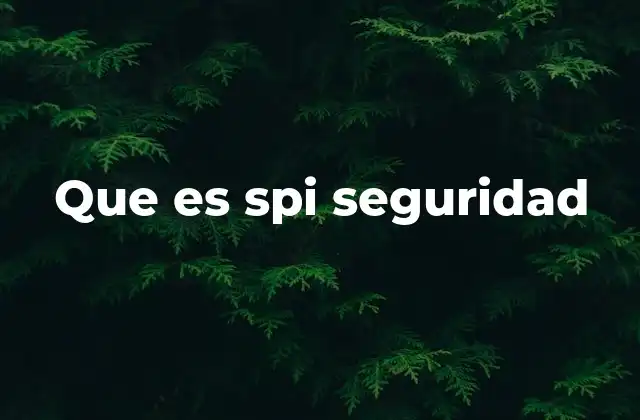 Que es Spi Seguridad