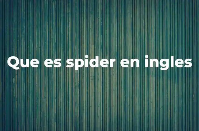 Que es Spider en Ingles