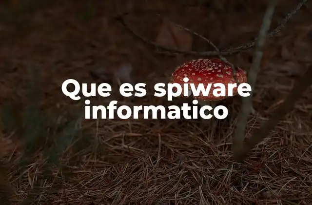Que es Spiware Informatico