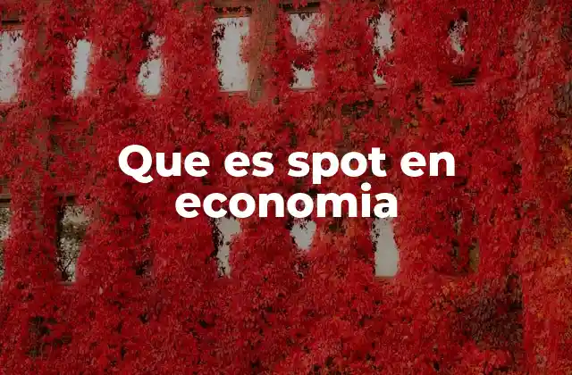Que es Spot en Economia