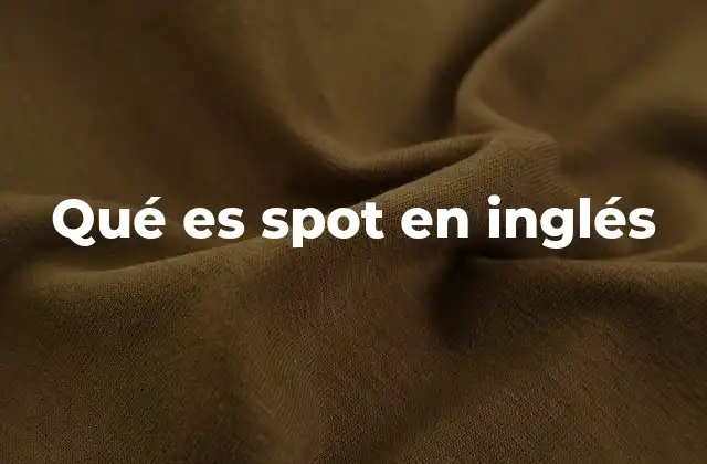 Qué es Spot en Inglés