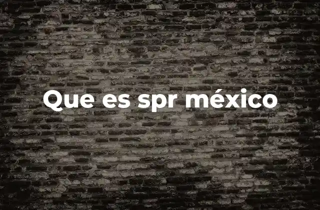 Que es Spr México 2 El papel del SPR en el sistema legal y notarial de México