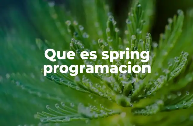 Que es Spring Programacion