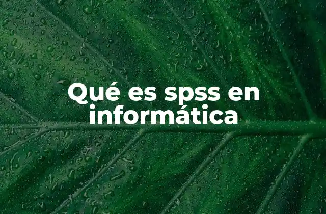 Qué es Spss en Informática