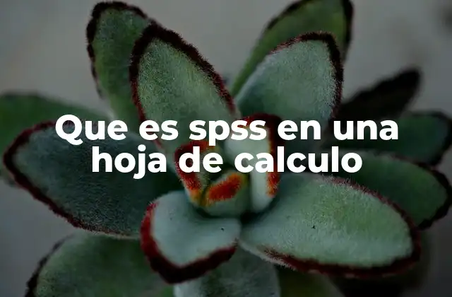 Que es Spss en una Hoja de Calculo