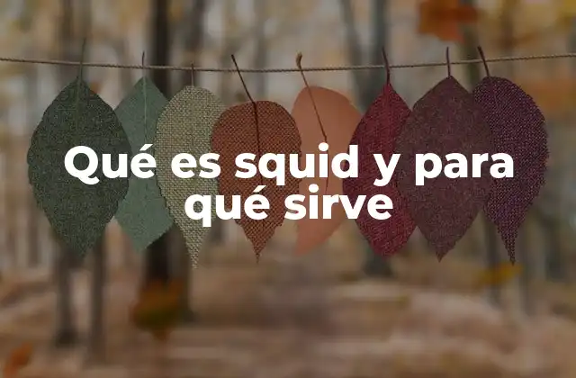 Qué es Squid y para Qué Sirve