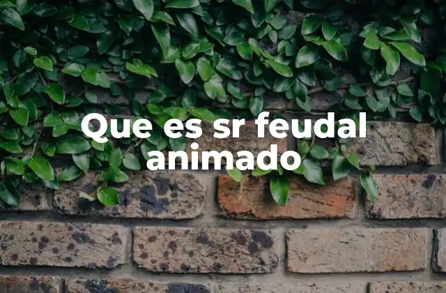 Que es Sr Feudal Animado