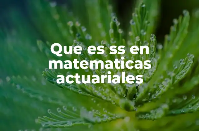 Que es Ss en Matematicas Actuariales