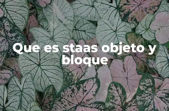Que es Staas Objeto y Bloque