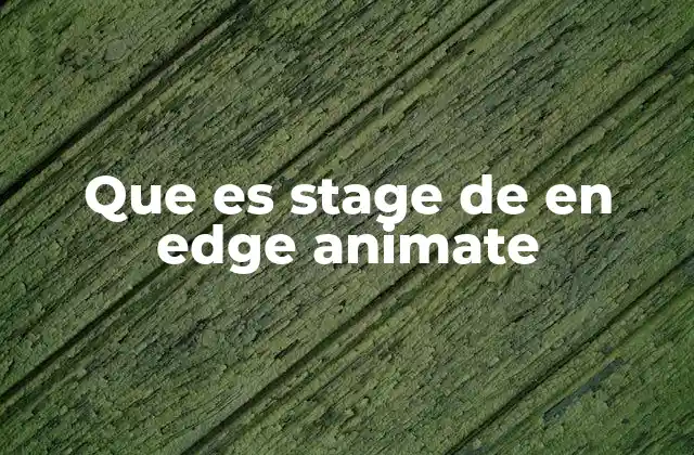Que es Stage de en Edge Animate