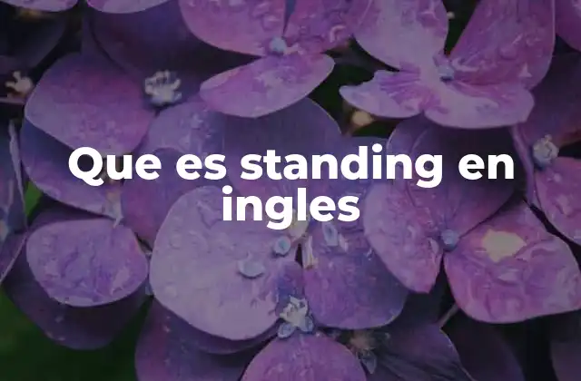Que es Standing en Ingles