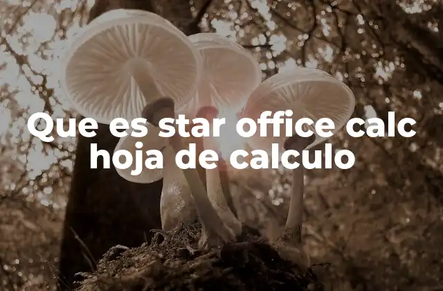 Que es Star Office Calc Hoja de Calculo