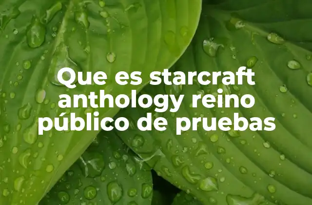 Que es Starcraft Anthology Reino Público de Pruebas