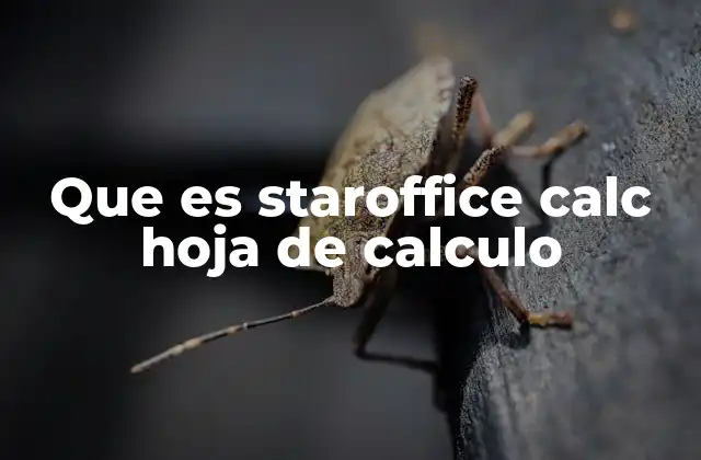 Que es Staroffice Calc Hoja de Calculo 2 Características esenciales de StarOffice Calc