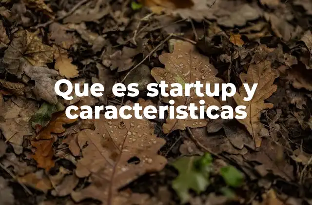Que es Startup y Caracteristicas