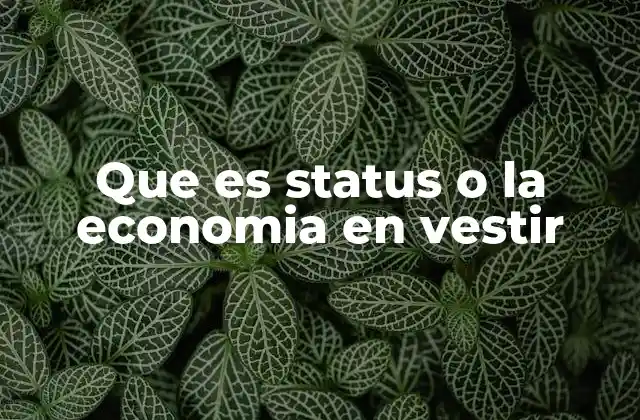 Que es Status o la Economia en Vestir