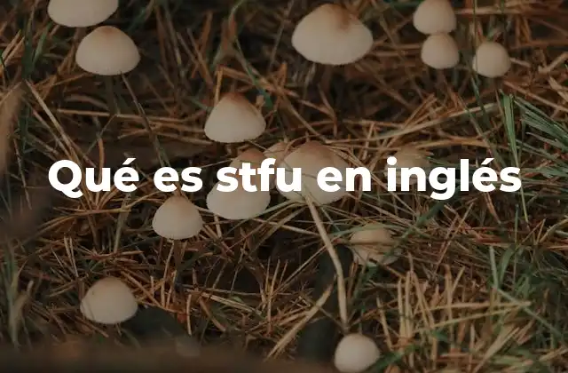 Qué es Stfu en Inglés