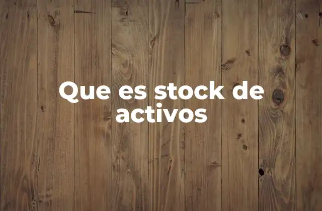 Que es Stock de Activos