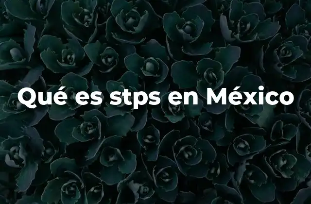 Qué es Stps en México